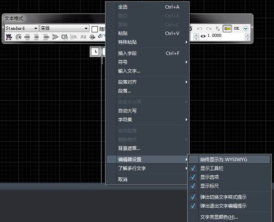 中望CAD多行文字编辑器中的WYSIWYG是什么意思