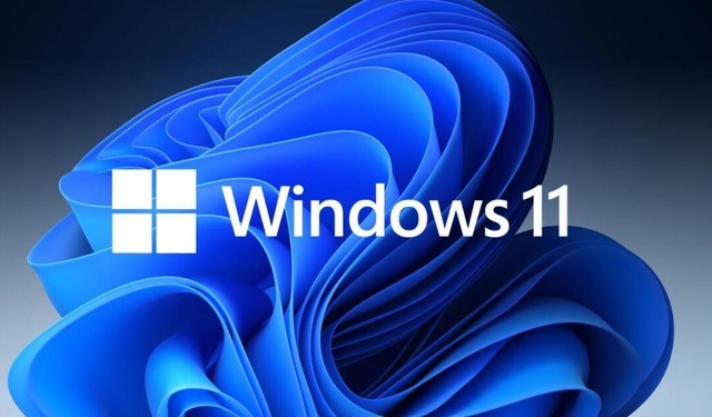 Windows 11 免费下载 专业版/企业版 简体中文